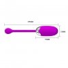 Pretty Love Brook, 12 vibration functions memory function